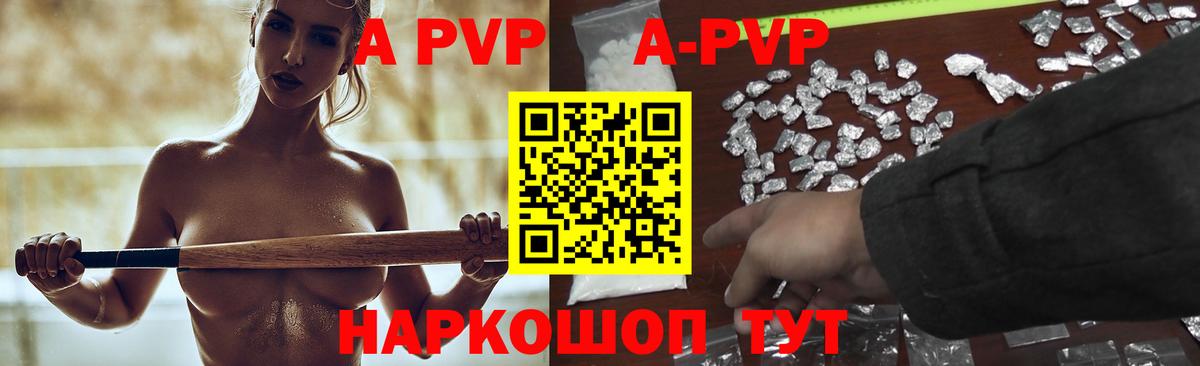 A PVP СК КРИС Боровичи