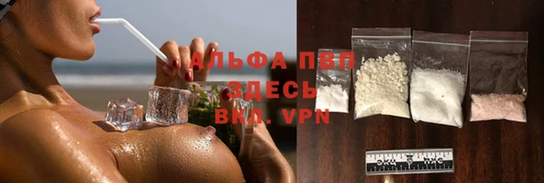 хмурый Алексин