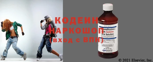 хмурый Алексин
