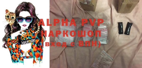 хмурый Алексин