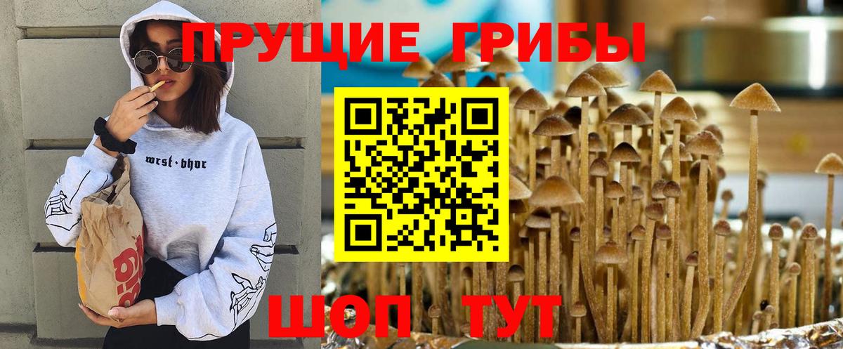 Псилоцибиновые грибы прущие грибы Боровичи