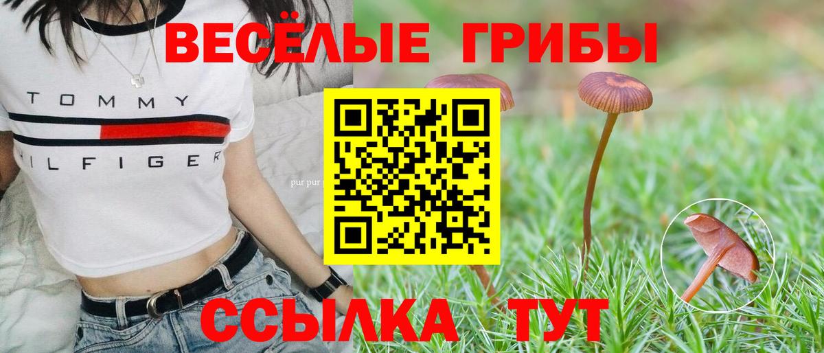 Галлюциногенные грибы ЛСД  как найти   Боровичи  Псилоцибиновые грибы Psilocybine cubensis  Вход с VPN 
